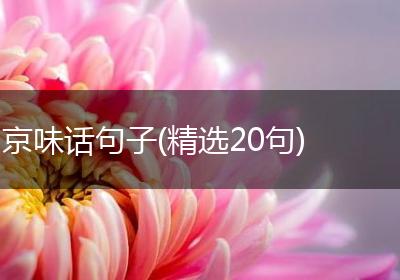 京味话句子(精选20句)
