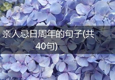 亲人忌日周年的句子(共40句)