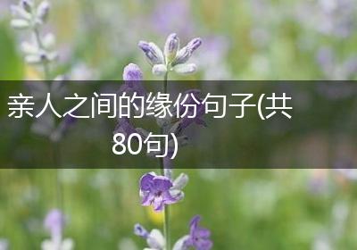 亲人之间的缘份句子(共80句)