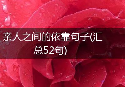 亲人之间的依靠句子(汇总52句)