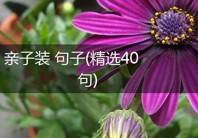 亲子装 句子(精选40句)