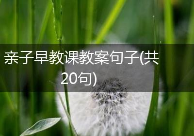 亲子早教课教案句子(共20句)