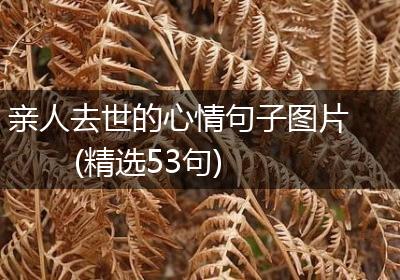 亲人去世的心情句子图片(精选53句)