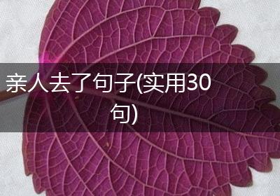 亲人去了句子(实用30句)