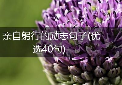 亲自躬行的励志句子(优选40句)