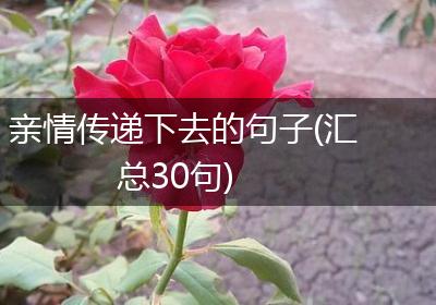 亲情传递下去的句子(汇总30句)