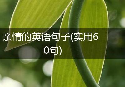 亲情的英语句子(实用60句)