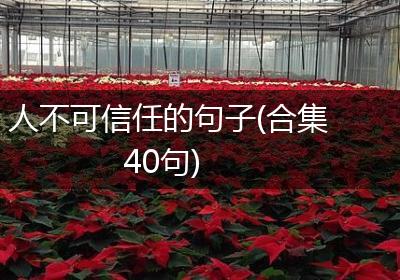 人不可信任的句子(合集40句)