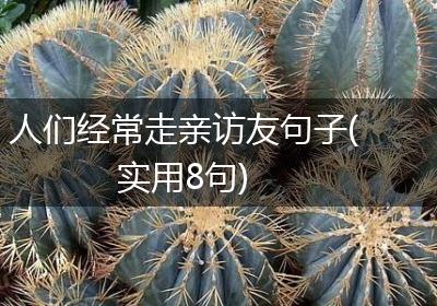 人们经常走亲访友句子(实用8句)