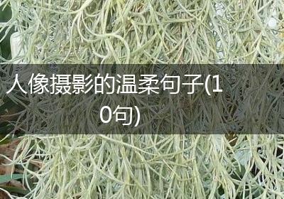 人像摄影的温柔句子(10句)