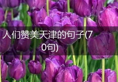 人们赞美天津的句子(70句)