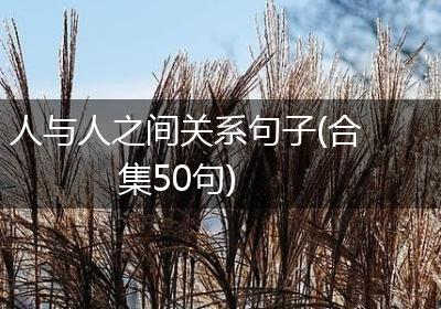 人与人之间关系句子(合集50句)