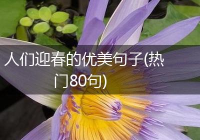 人们迎春的优美句子(热门80句)