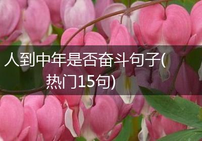 人到中年是否奋斗句子(热门15句)