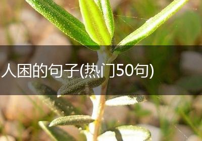 人困的句子(热门50句)