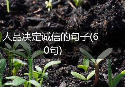 人品决定诚信的句子(60句)