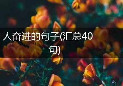 人奋进的句子(汇总40句)