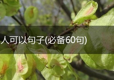 人可以句子(必备60句)