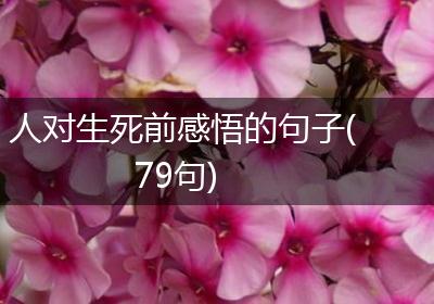人对生死前感悟的句子(79句)