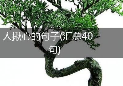 人揪心的句子(汇总40句)