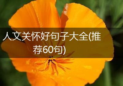 人文关怀好句子大全(推荐60句)