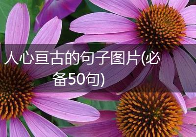 人心亘古的句子图片(必备50句)