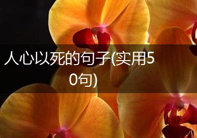 人心以死的句子(实用50句)