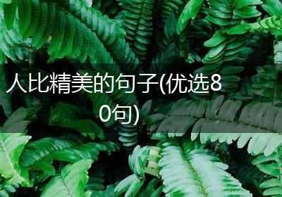 人比精美的句子(优选80句)