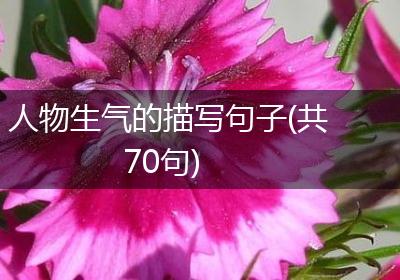 人物生气的描写句子(共70句)