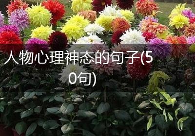 人物心理神态的句子(50句)