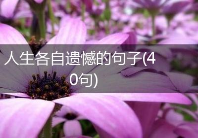 人生各自遗憾的句子(40句)