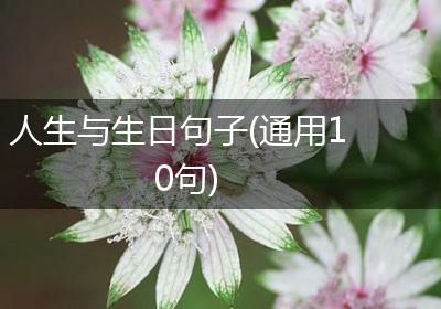 人生与生日句子(通用10句)