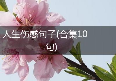 人生伤感句子(合集10句)