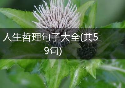 人生哲理句子大全(共59句)
