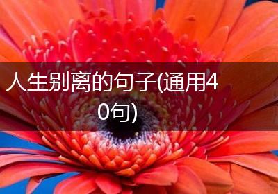 人生别离的句子(通用40句)