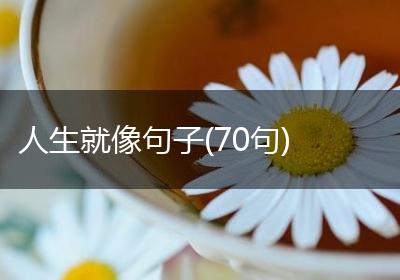 人生就像句子(70句)