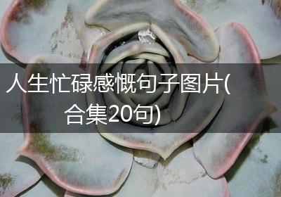 人生忙碌感慨句子图片(合集20句)