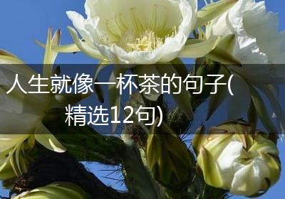 人生就像一杯茶的句子(精选12句)
