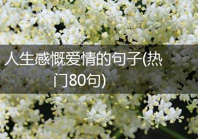 人生感慨爱情的句子(热门80句)