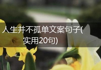 人生并不孤单文案句子(实用20句)