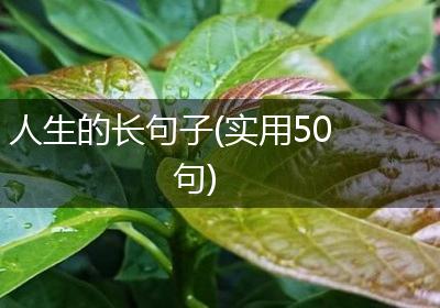 人生的长句子(实用50句)