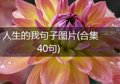 人生的我句子图片(合集40句)