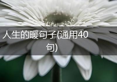 人生的暖句子(通用40句)