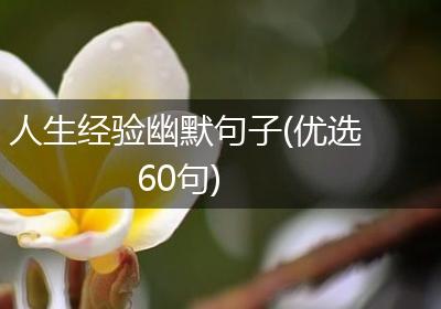 人生经验幽默句子(优选60句)