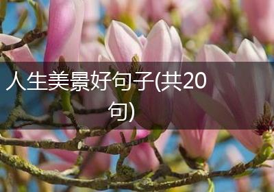 人生美景好句子(共20句)
