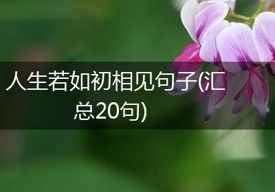 人生若如初相见句子(汇总20句)