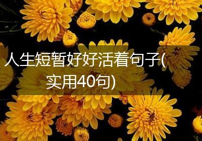 人生短暂好好活着句子(实用40句)