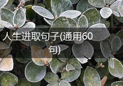 人生进取句子(通用60句)