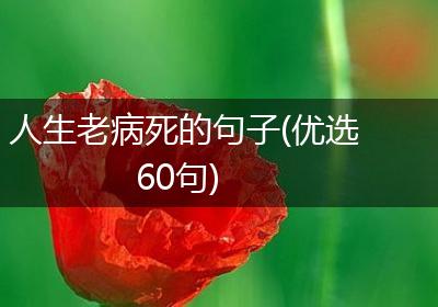 人生老病死的句子(优选60句)