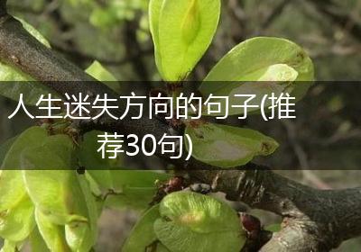 人生迷失方向的句子(推荐30句)